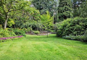 Optimiser l'expérience du jardin à Vers-sur-Meouge