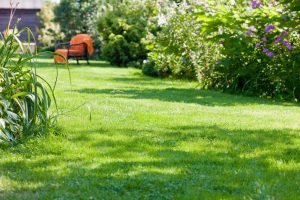 travaux jardin et paysage Vers-sur-Meouge